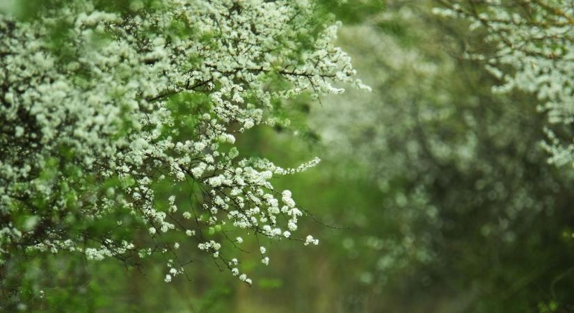 Meglepő fordulat jön az időjárásban a választás után? Mutatjuk a részleteket!