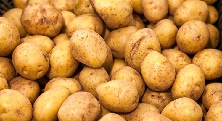 Padlón a burgonya ára