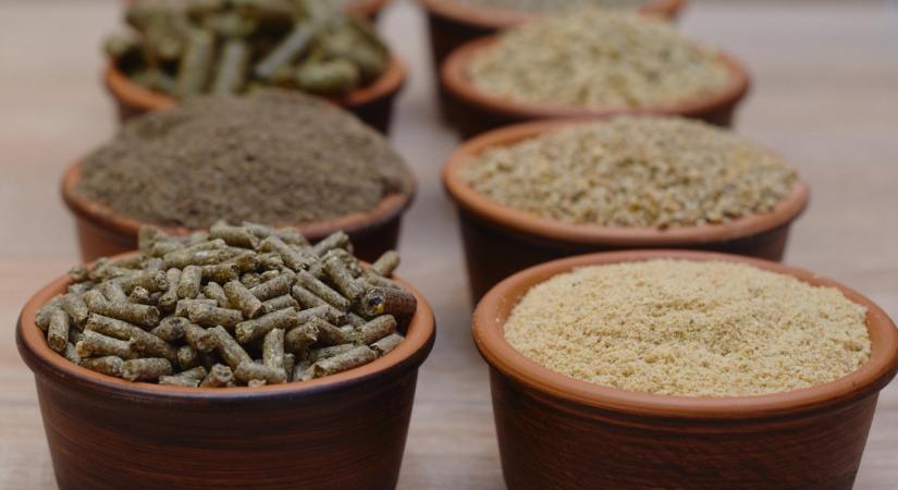 Nagy bajba kerülhetnek a gazdák az EU-ban: Kína kezében van a jövőjük?