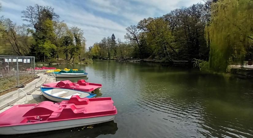 Napsütés, kacsaetetés és… választási csend – egészen más arcát mutatta Miskolctapolca vasárnap délelőtt