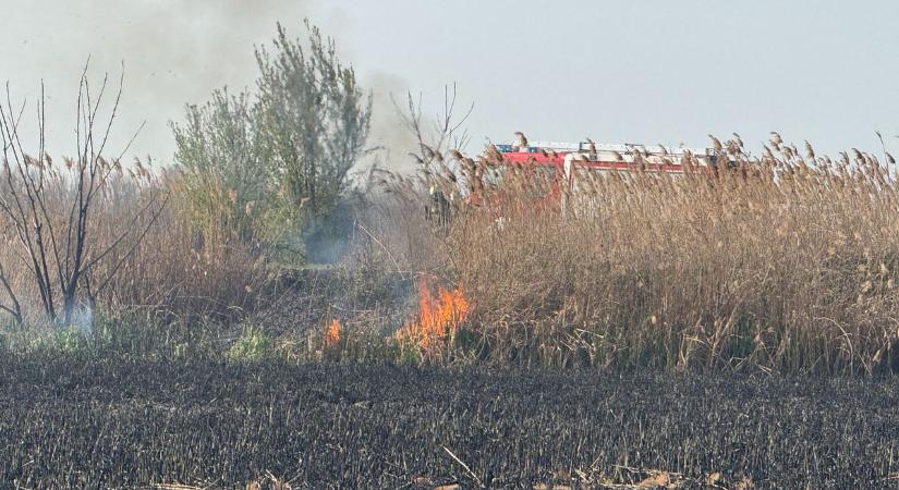 Hatalmas lángokkal égett a nádas Hajdú-Biharban! A tűz fél hektáron tombolt – fotókkal