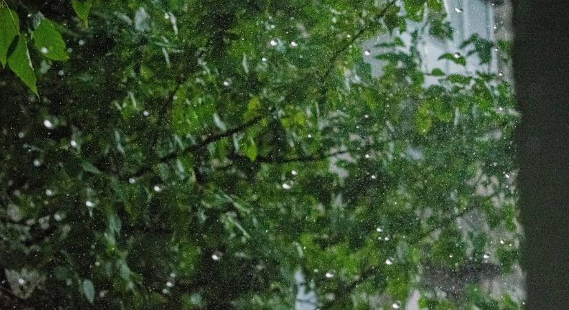 Esővíz gyűjtés: így spórolhatsz sokat a kert öntözésén