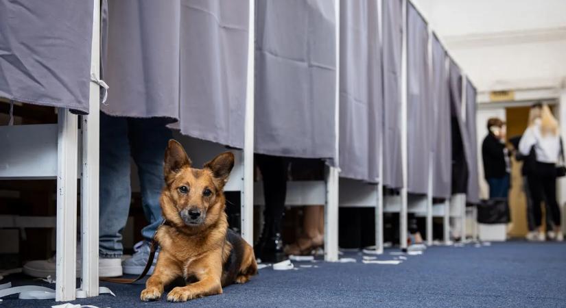 Bombariadó miatt Pécsen és Miskolcon is felfüggesztették a szavazást