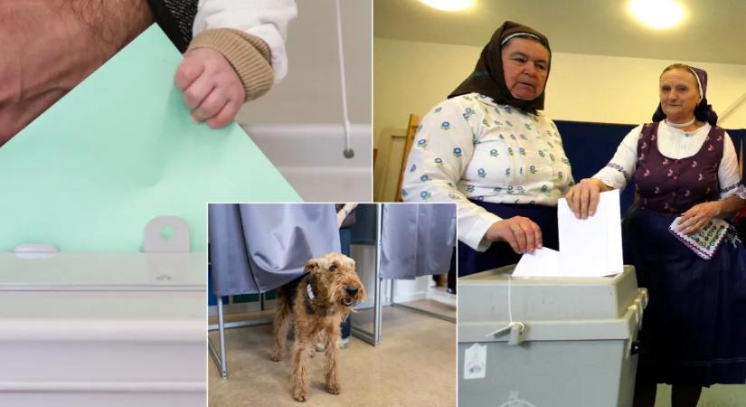 Kutyák, kisbabák, juhászok és népviseletbe bújt asszonyok: összegyűjtöttük a választások legkülönlegesebb fotóit!