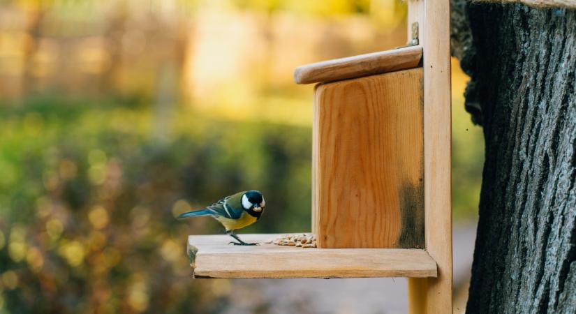 Ezt a szokást azonnal be kell fejezni: tömeges pusztulást okozhatsz vele