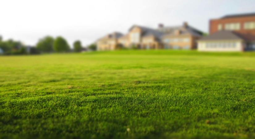 Így dúsabb lehet a fű, mint valaha - egyszerű módszerrel