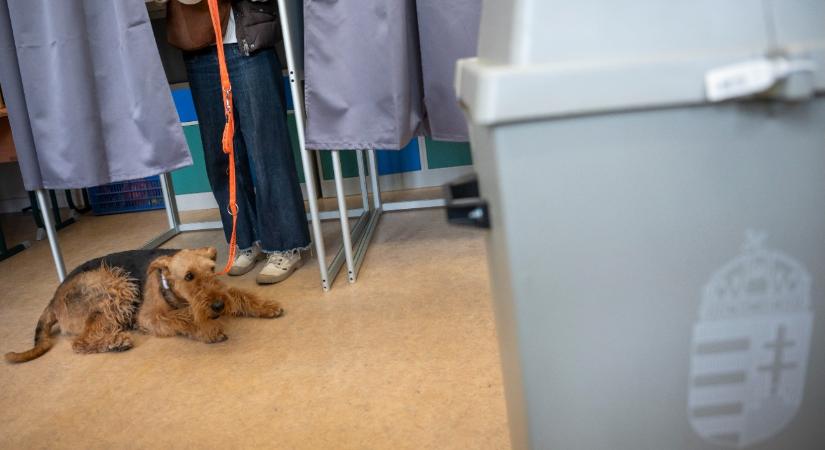 Választás: a végleges eredményre még hosszú heteket várhatunk