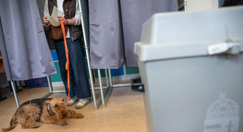 Választás 2026 - Így történik a választás eredményének megállapítása