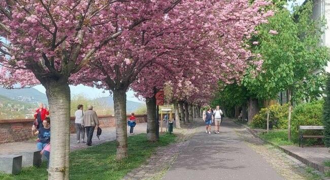 Már látszik, milyen idő várható hétfőtől - Heti időjárás-előrejelzés április 13-19-ig