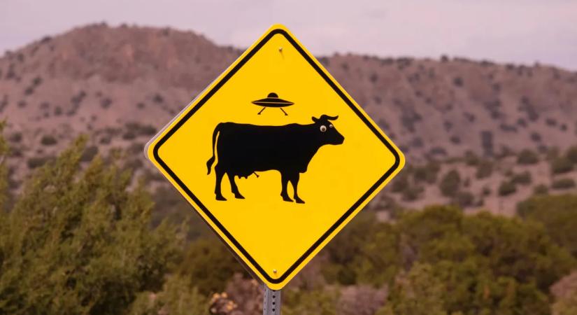 Szándékosan tűnt el az UFO-tábornok? Felesége hátborzongató segélyhívást intézett