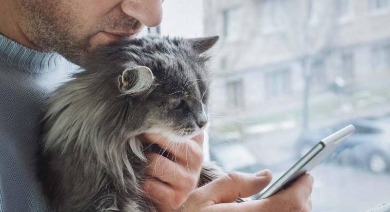 „Grok, hogy mentsem meg a macskám életét?”