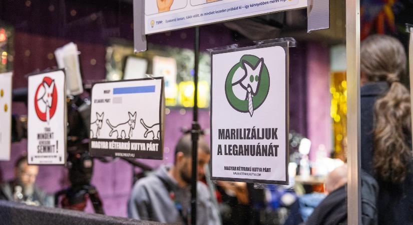 Beláthatatlan távolságra került a Demokratikus Koalíció és a Magyar Kétfarkú Kutya Párt a parlamenttől