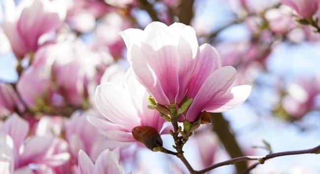 Zivatar vagy napsütés? - Itt a friss időjárás-előrejelzés április 13-ra, hétfőre