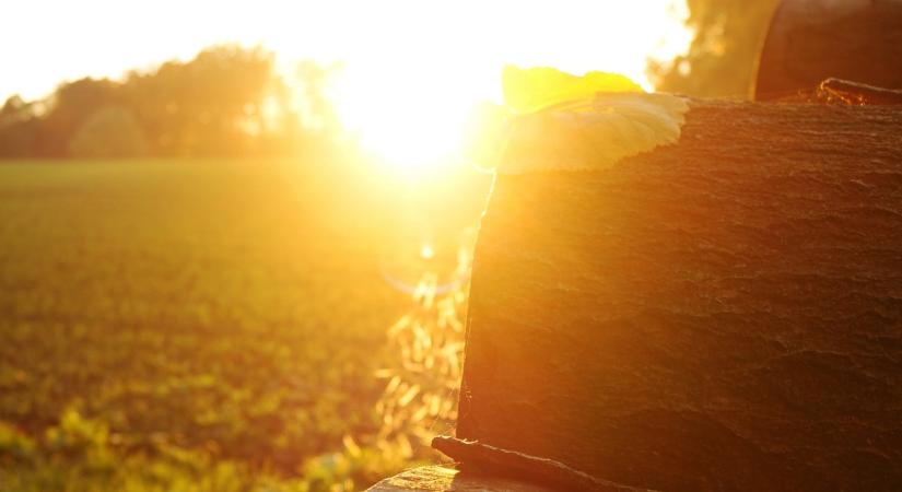 Eljött a 20 fokok ideje