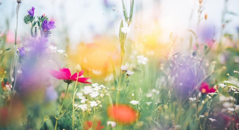 Időjárás 2026. április 13.: Közepesen felhős, szeles nap, kellemes hőérzettel