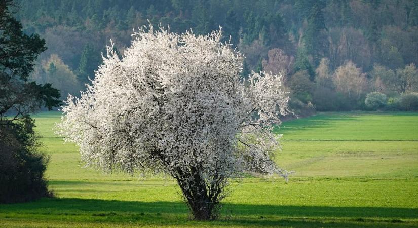 Időjárás: igazi fordulat közeleg, ősz óta erre vártunk