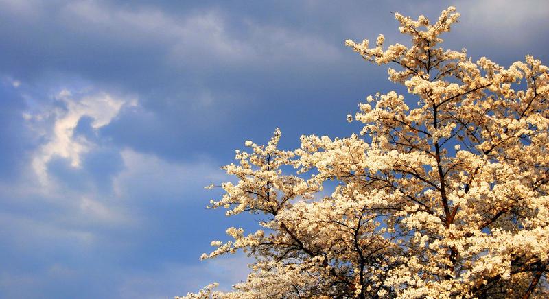 Változékonyabb, enyhébb periódus kezdődik időjárásunkban