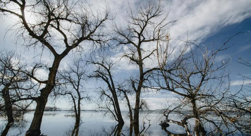 Gyilkosság áldozata lett a 18 éves fiú: a tónál találták meg a holttestét, de nem ő volt az egyetlen