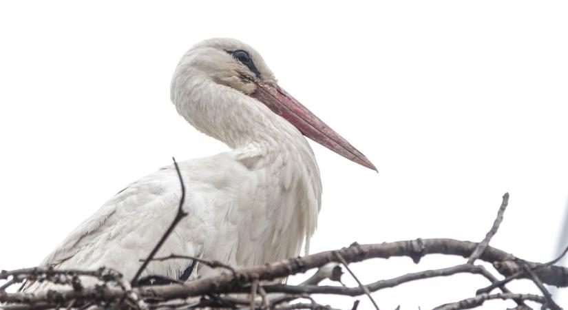 Derült hajnal, felhősödő délután: Ilyen idő vár ránk hétfőn