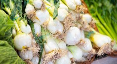 Nem drágult a hazai újhagyma, az import igen