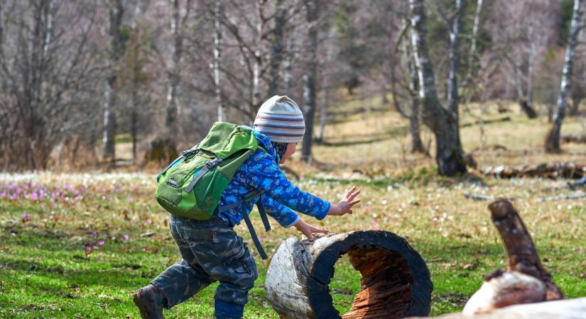 Válogatás a hétfő legérdekesebb eseményeiből