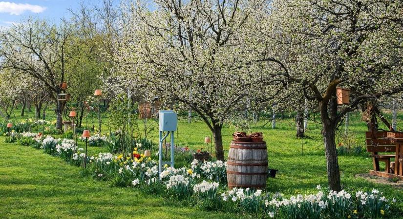 Lemaradt róla? Ez volt az év egyik különleges napja