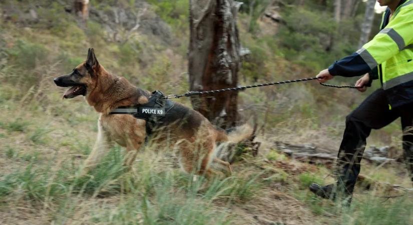 2 év után válaszokat kapott a család: holtan találták meg az eltűnt Árpádot