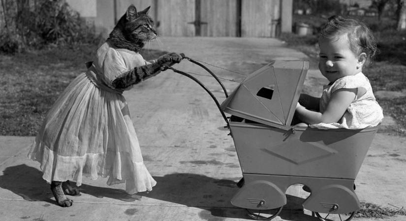 Babakocsik régen és most: amikor még egy séta is komoly logisztika volt