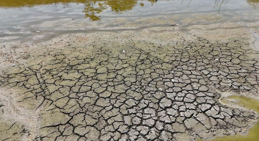 Nem jók a kilátások: szélsőséges időjárás várhat ránk nyáron