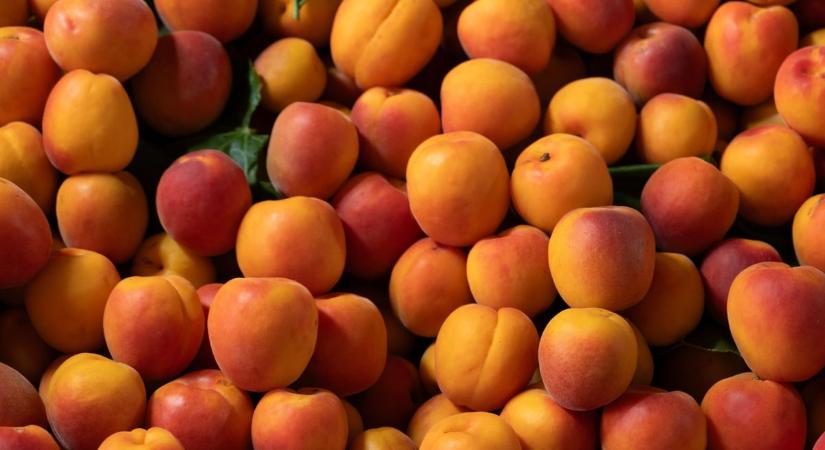 Sárgabarackot, homlokrakodót és motort is árult a vasi férfi, éppen csak egyikkel sem rendelkezett