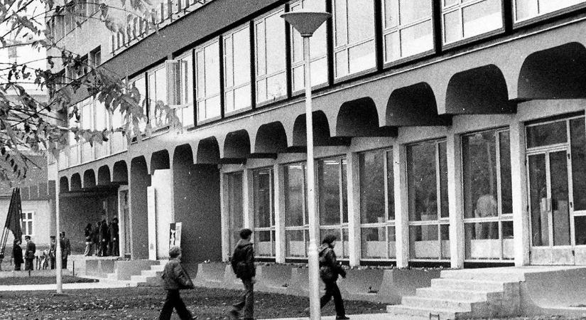 Volt egy hely: a „mimik” (galéria)