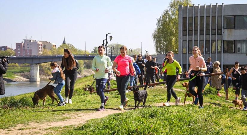 A jótékonyság az a közös nyelv, amely minden ellentétet áthidal