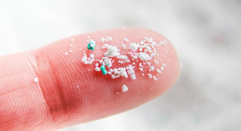 Mikroműanyag: kiderült, melyik élelmiszer segít tőle megszabadulni