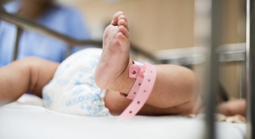 Helló Győr! Megérkeztünk!