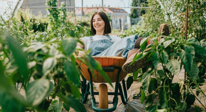 5 tavaszi kerttrend, ami nagyon látványos, mégis könnyen megvalósítható
