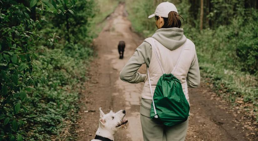 „Dolly tükrözi azt, amit én éltem át” – Sokkoló fordulat: ugyanazzal a betegséggel küzdött meg a gazdi és hűséges kutyája