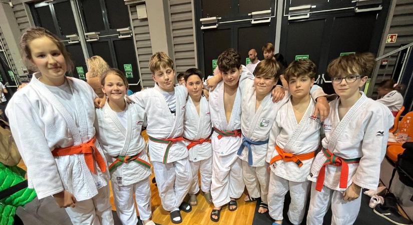 Mindhárom vármegyei szakosztály nyert aranyérmet Győrben