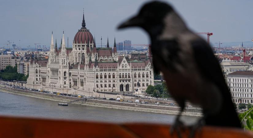 A nap kérdése: a választási győzelem után mennyi idő után áll munkába az új kormány?