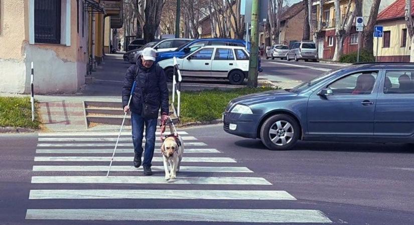 Vakvezető kutyája változtatta meg az életét – most sorstársaiért gyűjt a kaposvári látássérült férfi
