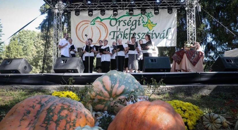 Őrségi Tökfesztivál: itt a dátum, már lehet tervezni