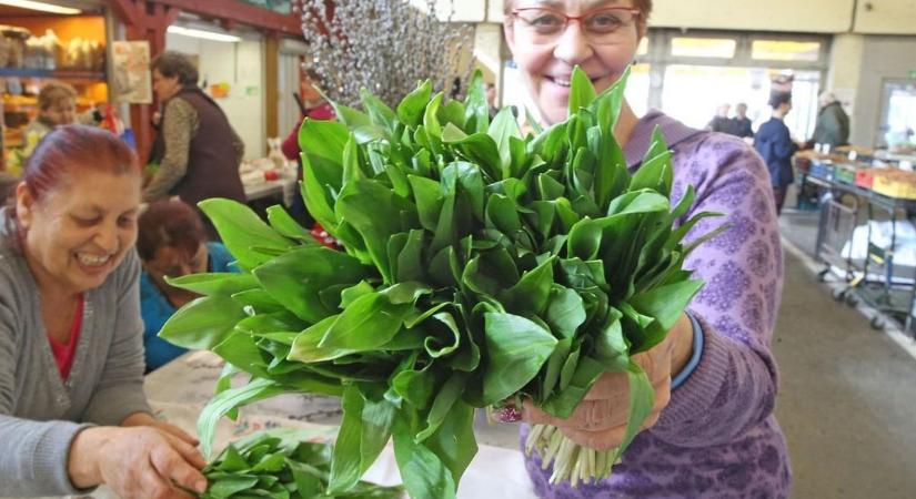 Már csak napokig tart a szezon – ezekre a helyekre menj medvehagymáért