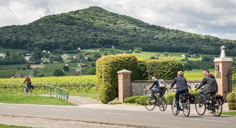 Villány szintet lépett: ez a változás most rengeteg látogatót hozhat