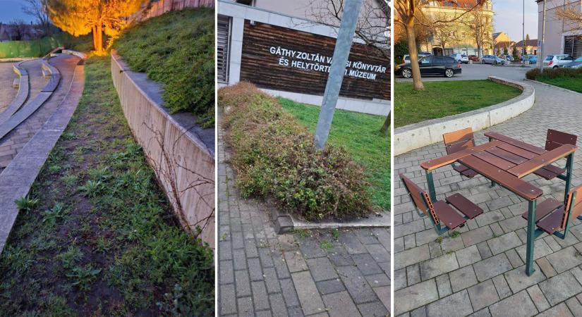 Tavaszi megújulás az Agoránál