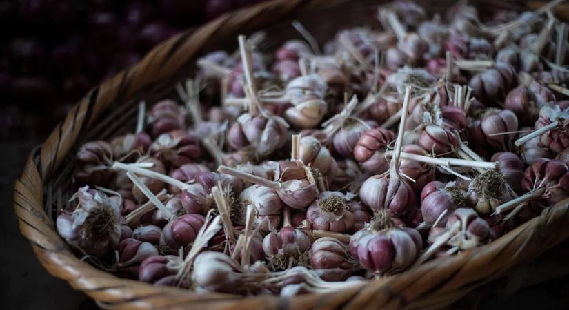 Megvannak az ételek, amik lelassítják az öregedést
