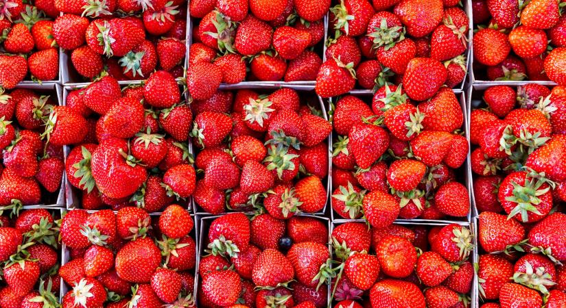 Áprilisban még jobb nemet mondani az eperre: meg fogsz lepődni, miért