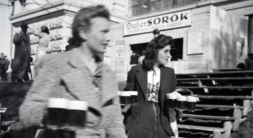 Így néztek ki a tavaszi sörkertek, ahol nagyszüleink rendeltek pintet, korsót, pikolót - Galéria