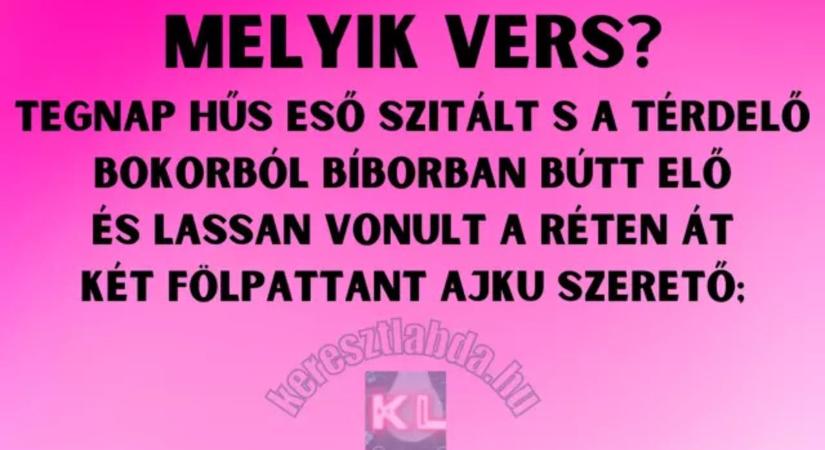 Napi irodalom feladat: Felismered, melyik költő írta ezt a gyönyörű szerelmes verset?