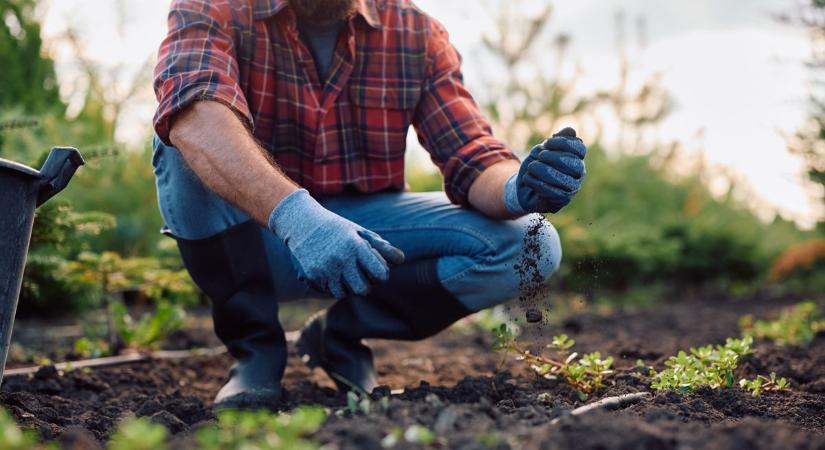 Filléres megoldások a kertben: ezek a házi praktikák látványos eredményt hoznak