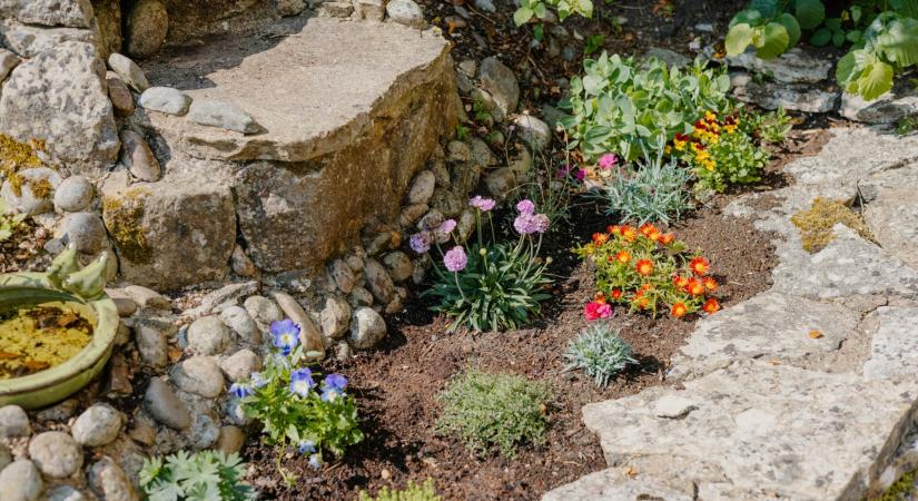 10 színes sziklakerti növény, ami rossz talajban is megél, és fenséges látványt nyújt