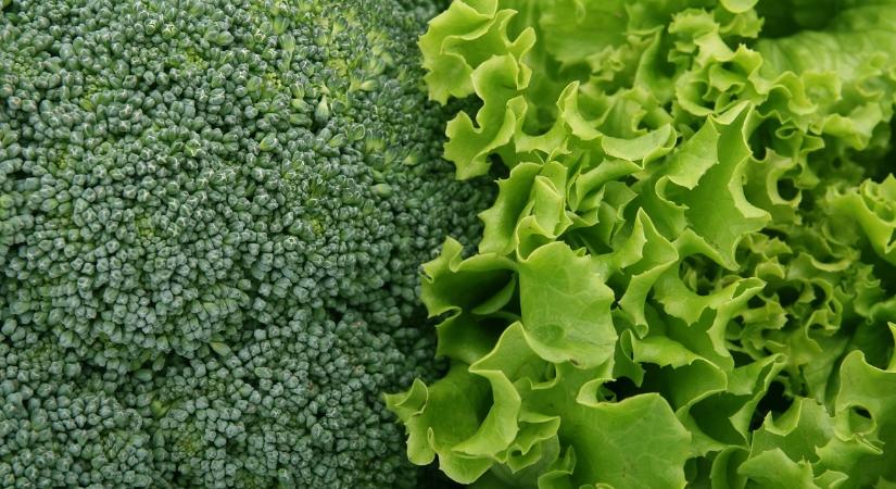 Így maradhat friss a saláta akár hetekig